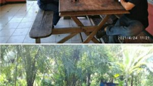 KRPH Panyaungan Bayah Tak Berdaya Tambang Batu Bara Di Kawasan Perhutani Masih Marak