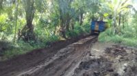 Anggota DPRD Lebak Tuding Adanya Dugaan Kongkalingkong Soal Penambang Batubara Di Wilayah Perhutani