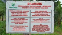 Aktivis Rajam : Perhutani Jangan Tutup Mata Berikan Efek Jera Bagi Perusak Hutan