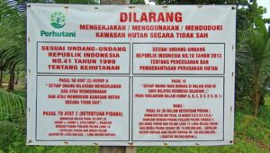 Aktivis Rajam : Perhutani Jangan Tutup Mata Berikan Efek Jera Bagi Perusak Hutan