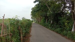 Warga Kena Palak, Keamanan Jalan Desa Dangdeur Jadi Sorotan Publik