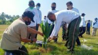 Dandim 0601 Pandeglang Bersama Kapolres dan Kajari Hadiri Kegiatan Penanaman Pohon di Pantai Bentengan Teluk Labuan