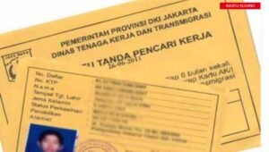 Menaker : Pembuatan Kartu Kuning Gratis Bisa Juga Melalui Online, Laporkan Jika Di Pungut Biaya