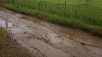Jalan Rusak Dan Berlubang, Warga Desa Pasirloa Sukaresmi Berharap Perbaikan Jalan