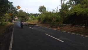 Di Duga Kurang Perawatan,Empat Tiang Listrik Di Baksel Tumbang