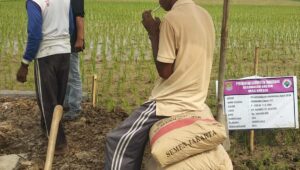 Pembangunan TPT di Desa Kresek, Pemborong : Proyek Ini Tidak Ada Masalah