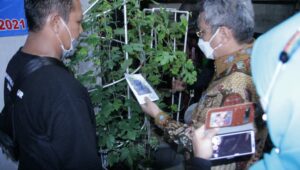 Majukan Sektor Pertanian Kota Tangsel, Benyamin Davnie Fasilitasi Komunitas Anggur