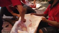Bantu Saudara Yang Tak Mampu,  Musholla Al-Mukhtariah Adakan Sembelih Hewan Qurban