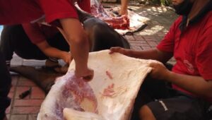 Bantu Saudara Yang Tak Mampu,  Musholla Al-Mukhtariah Adakan Sembelih Hewan Qurban