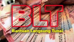 Ormas Badak Banten Perjuangan Menduga Bantuan Dana BLT Desa Pasindangan Tidak Di Salurkan