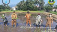 37 Hektar, Prediksi Luasan Lahan Musim Tanam Ketiga Provinsi Banten