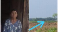 Tanaman Padinya Di Ratakan, Ibu Aam Warga Desa Pasir Muncang Jayanti Berharap Kebijaksanaan Dari PT Mayora