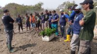 Peduli Lingkungan, IMANU Bersama HNSI dan PPPSBBI Tanam Mangrove Bersama