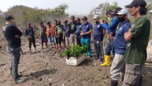 Peduli Lingkungan, IMANU Bersama HNSI dan PPPSBBI Tanam Mangrove Bersama