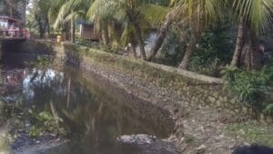 Air Sungai Tercemar, Karang Taruna Jayanti Menanti Keseriusan DLHK Kab Tangerang