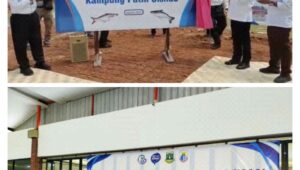 Usai Cek Kegiatan Vaksinasi Di Rumah JB, Menteri Kelautan Dan Perikanan Tinjau Lokasi Budidaya Ikan Di Cileles