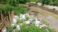 Satu Tahun Lebih Irigasi Sekunder Mati, Petani Di Kecamatan Jayanti Merugi
