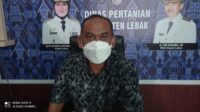 Penuhi Pangan Dan Ekonomi, Pemkab Lebak Bangkitkan Petani Millenial