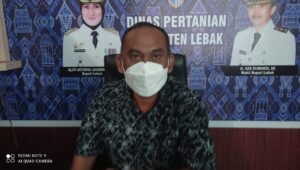 Penuhi Pangan Dan Ekonomi, Pemkab Lebak Bangkitkan Petani Millenial
