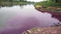 21 Perusahaan Di Kabupaten Tangerang Belum Patuhi Regulasi Pengelolaan Limbah
