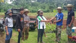 Tingkatkan Penghasilan Bagi Petani, HKTI Kabupaten Pandeglang Galakan Kemitraan Penanaman Talas Beneng