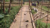 Kondisi Jembatan Gantung Dan Jalan Di Desa Gunung Gede  Butuh  Perhatian  Pemkab Lebak