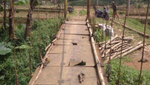 Kondisi Jembatan Gantung Dan Jalan Di Desa Gunung Gede  Butuh  Perhatian  Pemkab Lebak