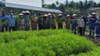 Pertamina Pendopo Tanam Perdana Padi Sri Organik di Persawahan Abab Rejosari Melalui Program PSRLB