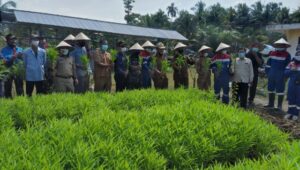 Pertamina Pendopo Tanam Perdana Padi Sri Organik di Persawahan Abab Rejosari Melalui Program PSRLB