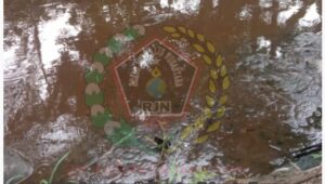 Air Irigasi Di Kecamatan Jayanti Pagi Ini Berwarna Coklat Pekat, Di Duga Pembuangan Air Limbah Industri