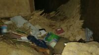Tanah Longsor Di Lebak, Seorang Santri  Meninggal Dunia   