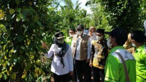 Bupati Tanggamus Kunjungi Lima Calon Lokasi Program iCare Di Kecamatan Naningan