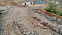 Ormas Jarum Soroti Lokasi Ternak Ayam Di Cileles Yang Diduga Tak Berijin