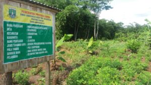 Program Pengembangan Hutan Rakyat Di Curugbitung Dinilai Tidak Mengacu Juklak Dan Juknis