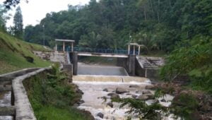 Kades Kadu Damas Bakal Sulap Lahan DKP Jadi Destinasi Wisata