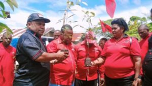 Kegiatan Penghijauan Dalam Rangka HUT PDIP Ke- 49