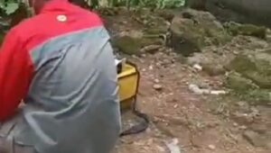 Viral Pegawai PT. Cemindo Di Usir Warga Bayah Timur