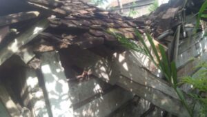 Butuh Bantuan, Rumah Janda 2 Anak Di Pekon Sinar Harapan Kec Talang Padang Nyaris Ambruk
