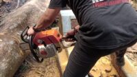 JD Sigap Turun Tangan Bantu Evakuasi Pohon Tumbang