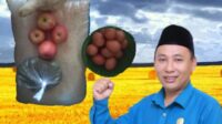 Anggota DPRD Lebak Soroti Dugaan Pemotongan Bansos Di Malingping