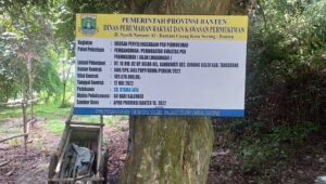 APKAN BANTEN RI Tunjuk Proyek Paving Block Di Desa Kandawati Terindikasi Rapuh Rendah Kualitas