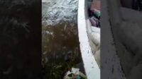 Kali Sadang Kembali Tercemar, Masyarakat Minta Kerja Besar, Bukan Spanduk Besar Bupati