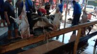 Permudah Ibadah Qurban, Warga Sempu Banten Girang Kab Serang Terapkan Menabung Dini