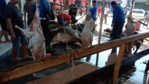 Permudah Ibadah Qurban, Warga Sempu Banten Girang Kab Serang Terapkan Menabung Dini