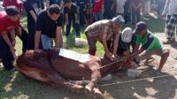 Sejumlah Petinggi Polri Berkurban di Ponpes Nurul Falah