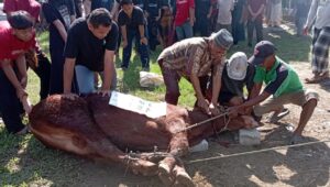 Sejumlah Petinggi Polri Berkurban di Ponpes Nurul Falah