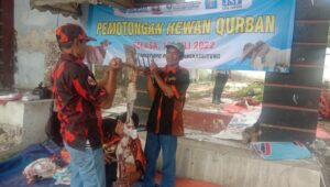 PP Dan Peradi Lebak Potong Hewan Kurban Satu Ekor Sapi Dan Dua Ekor Kambing