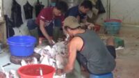 Harga Ayam Potong Pasar Cikarang Melonjak, Pedagang dan Pembeli Teriak