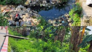 Saluran Irigasi Tertutup Sampah Petani Di Tambun Utara Rentan Gagal Panen