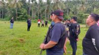 Kejar Tersangka Hingga ke Ujung Sumatera, Penyidik Satresnarkoba Polres Serang Temukan 3 Hektar Ladang Ganja di Aceh Utara